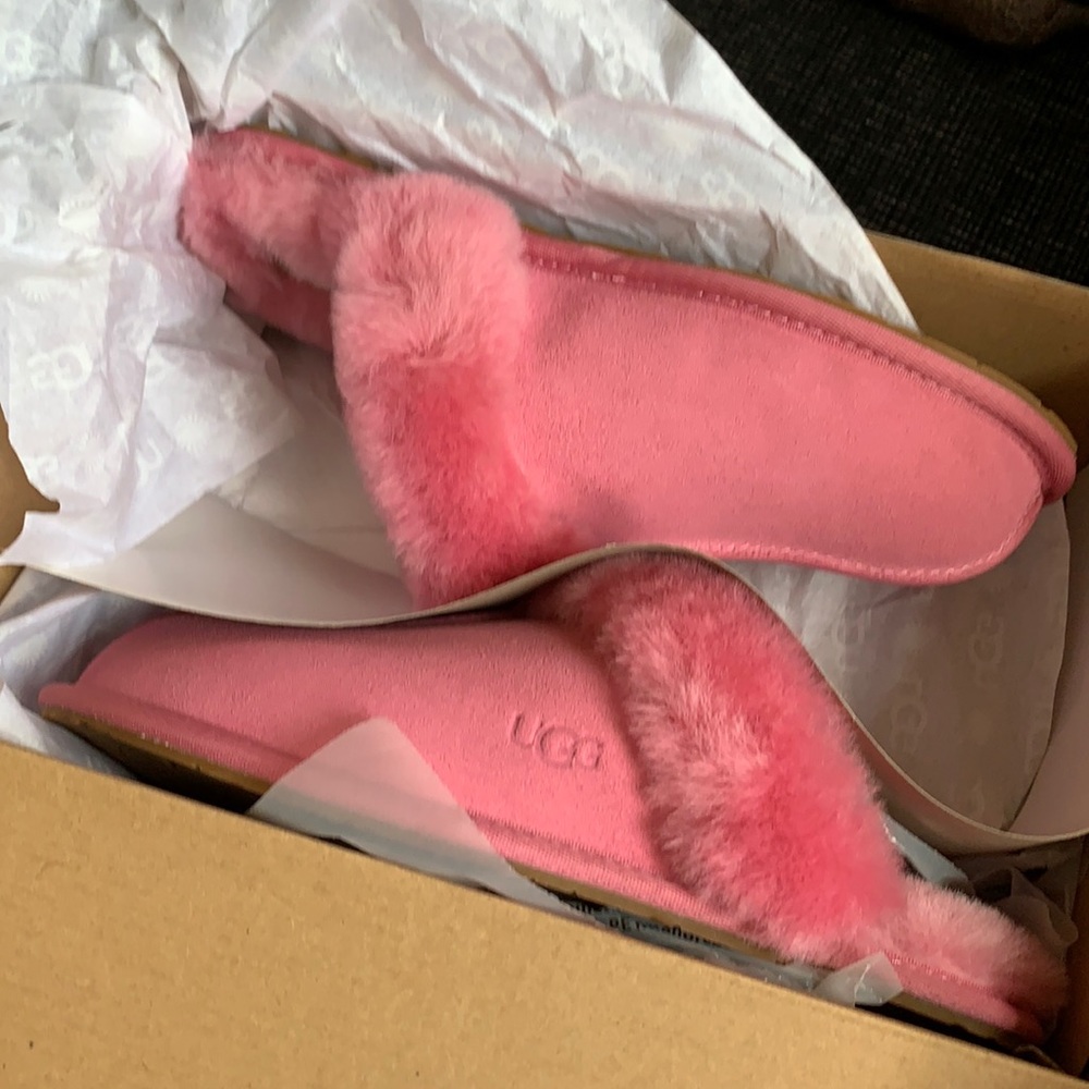 New in box UGG Scuffette slippers